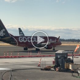 Cougar PLane