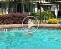 gma pool time (1)