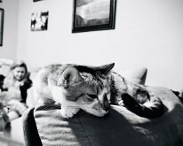 IMG_E5738
