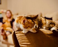 IMG_E5740