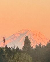 Rainier on the ground