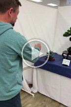 Bonsai Santa Cruz (2)