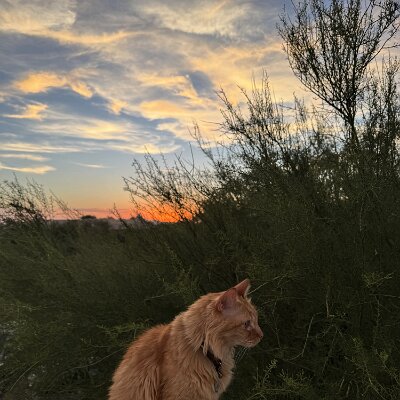 sunset J W (1)