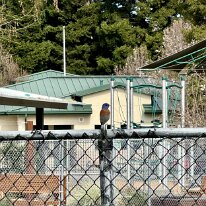 jen danville for lynne (1)