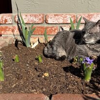 jen danville for lynne (3)