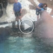 spring break sea world (3)