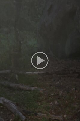 Yosemite 2026 (1)